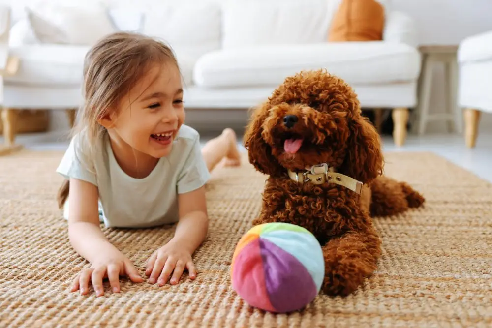 Little girl playing with dog on the bed